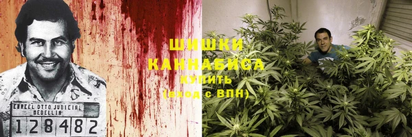 ПСИЛОЦИБИНОВЫЕ ГРИБЫ Карпинск
