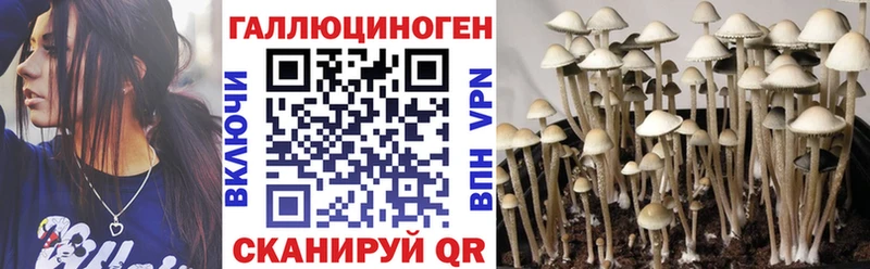 Псилоцибиновые грибы GOLDEN TEACHER  Сортавала 